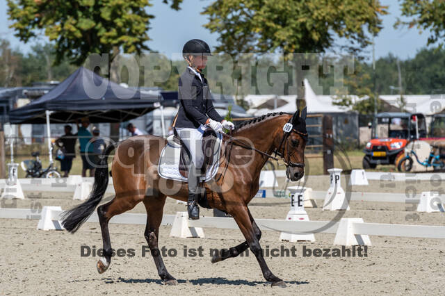 Kronenberg - De Peelbergen (August 2020)