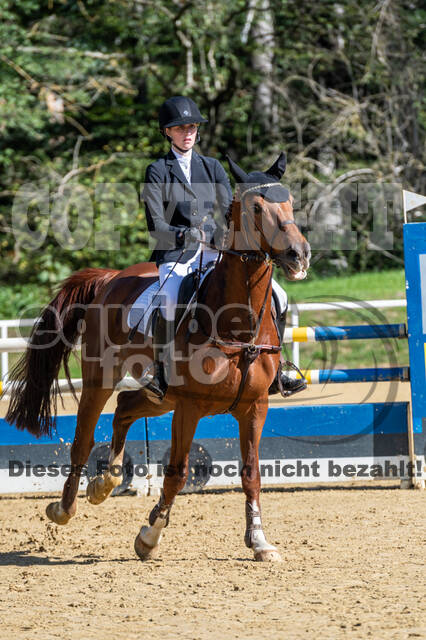 RFV Dinslaken-Hiesfeld (Herbstturnier)