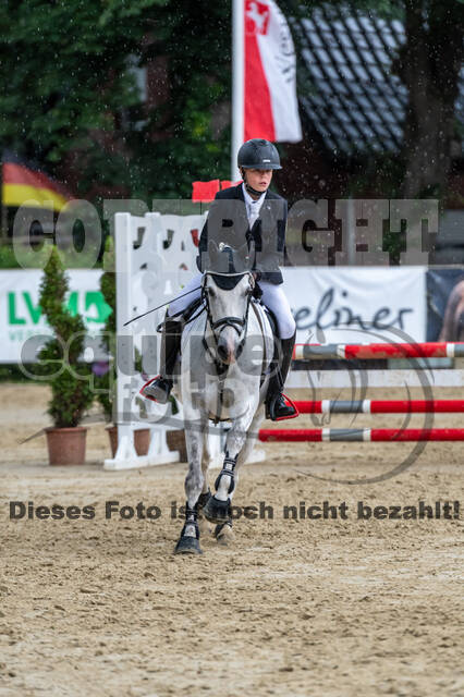 Goldene Schärpe 2021 - Ponys