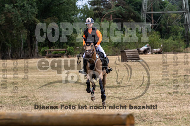 Late-Entry Vielseitigkeit Hamminkeln/Wesel (01.+02.08.2020)