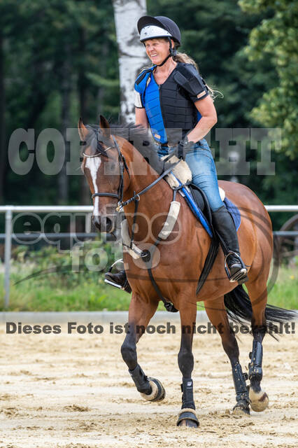 Hunter Geländetraining 10.07.2021 (Sonsbeck)