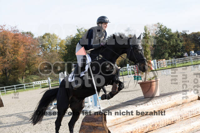 IGV Lehrgang der Sieger der Cups mit Frank Ostholt