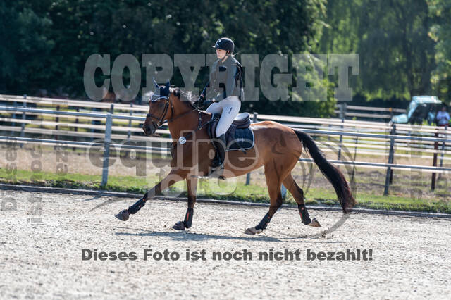 Late-Entry-Vielseitigkeit Langenfeld (11.+13./14.06.2020)