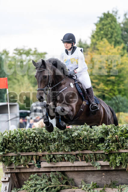 Vielseitigkeit RSV Wesel Obrighoven (26.+27.09.2020)