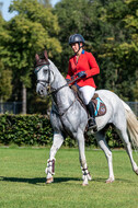 Kronenberg - De Peelbergen (August 2020)