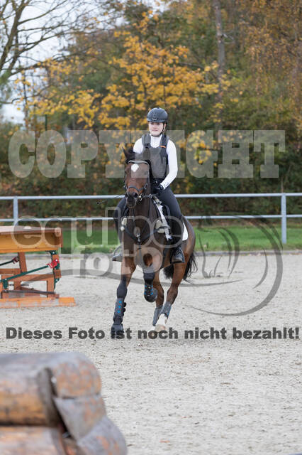 IGV Lehrgang der Sieger der Cups mit Frank Ostholt