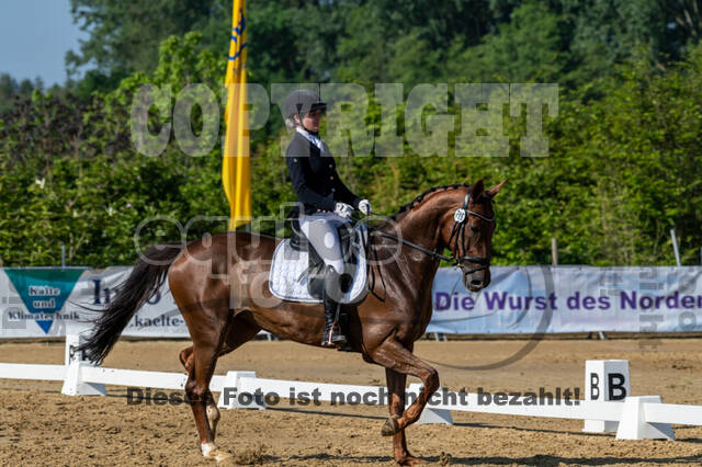Westerstede Horse Trials 2021