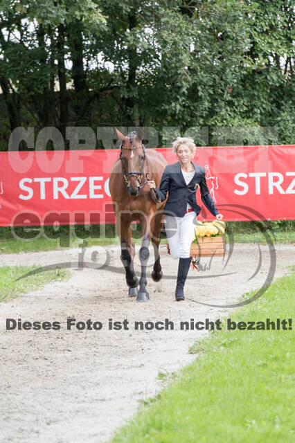 FEI European Championship Eventing 2017