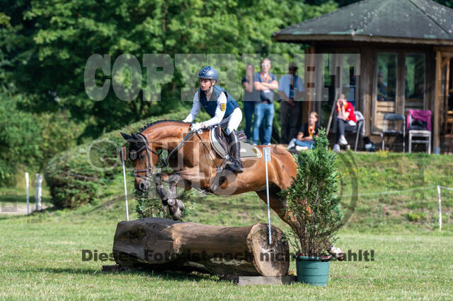 Goldene Schärpe 2021 - Ponys