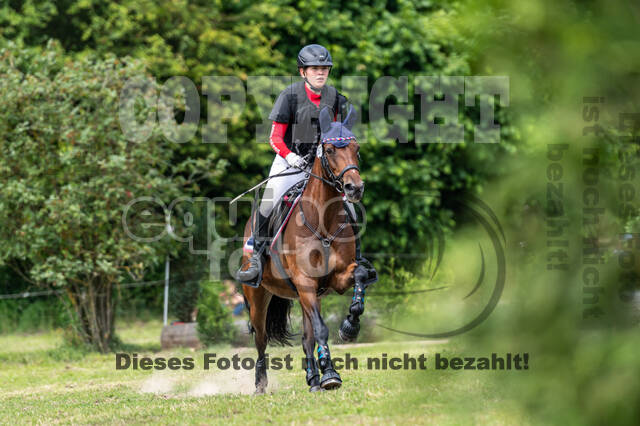 Goldene Schärpe 2021 - Ponys