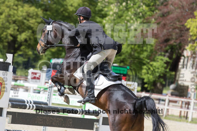 Sterne über Münster 2019 - CCI***S