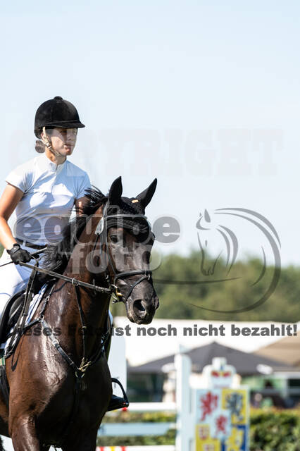 Kronenberg - De Peelbergen (August 2020)