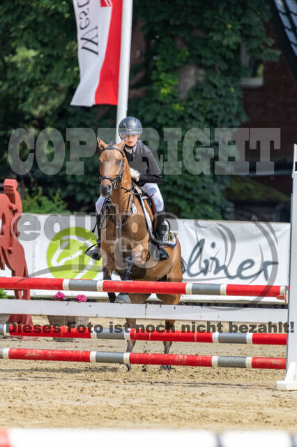 Goldene Schärpe 2021 - Ponys