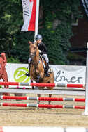Goldene Schärpe 2021 - Ponys