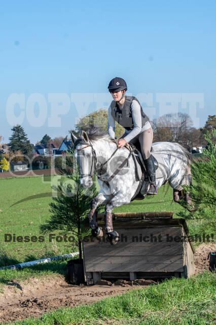 Vielseitigkeitslehrgang mit Jürg Kurbel (9.+10.11.2019)