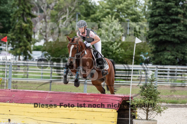 Late-Entry-Vielseitigkeit Langenfeld (06.+07.07.2020)