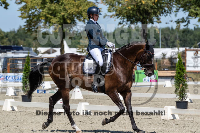 Kronenberg - De Peelbergen (August 2020)