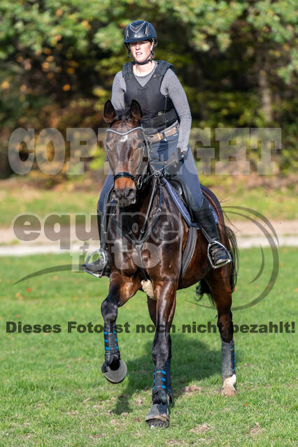 IGV Lehrgang der Sieger der Cups mit Frank Ostholt