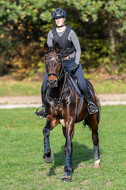 IGV Lehrgang der Sieger der Cups mit Frank Ostholt