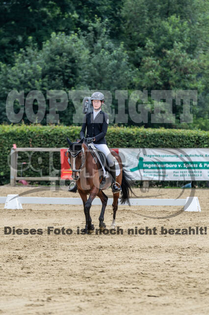 Goldene Schärpe 2021 - Ponys