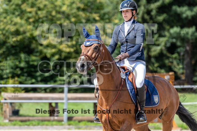 Late-Entry-Vielseitigkeit Langenfeld (06.+07.07.2020)