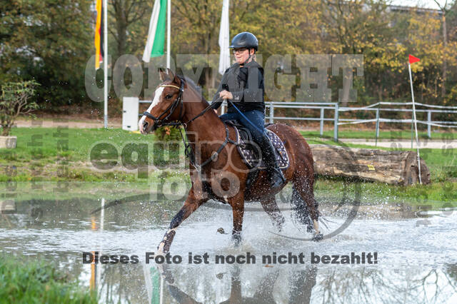 IGV Lehrgang der Sieger der Cups mit Frank Ostholt