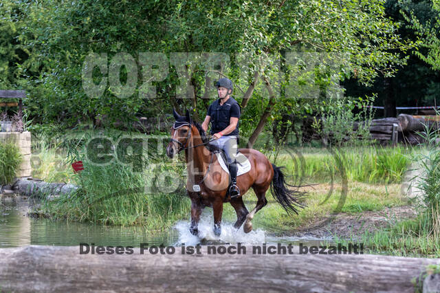 Late-Entry Vielseitigkeit Hamminkeln/Wesel (01.+02.08.2020)