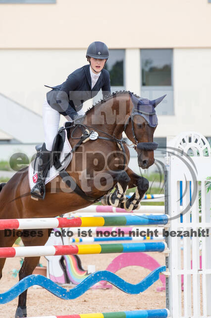 DJM Vielseitigkeit 2019, Kreuth