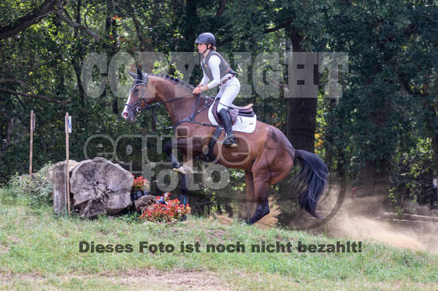 Late-Entry Vielseitigkeit Hamminkeln/Wesel (01.+02.08.2020)