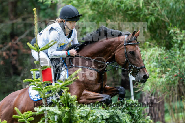 Vielseitigkeit RSV Wesel Obrighoven (26.+27.09.2020)