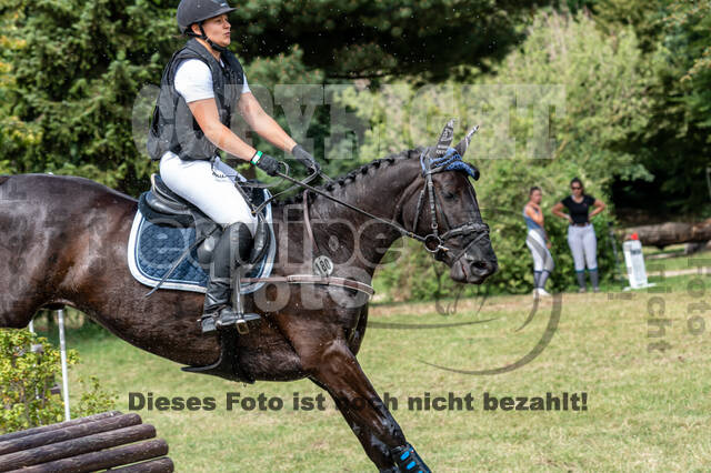 Late-Entry-Vielseitigkeit Langenfeld (11.+13./14.06.2020)