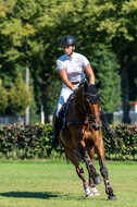 Kronenberg - De Peelbergen (August 2020)