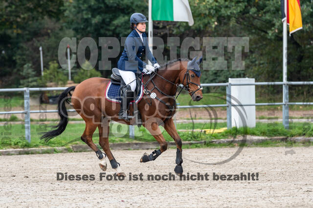 Goldene Schärpe 2020 - Pferde