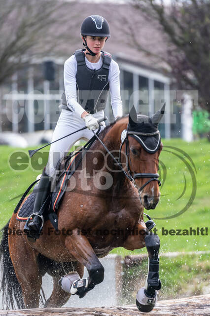 Goldene Schärpe 2020 - Pferde