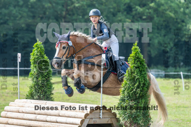 Goldene Schärpe 2021 - Ponys