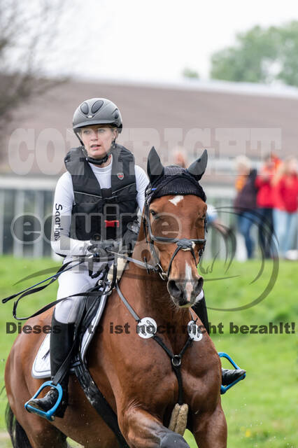 Goldene Schärpe 2020 - Pferde