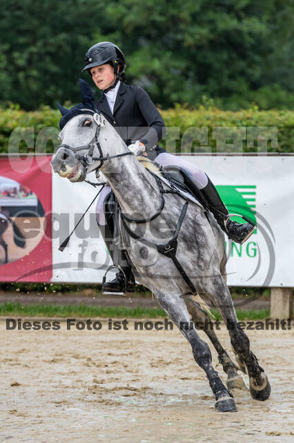 Goldene Schärpe 2021 - Ponys