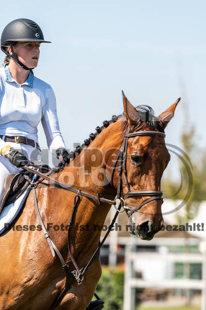 Kronenberg - De Peelbergen (August 2020)