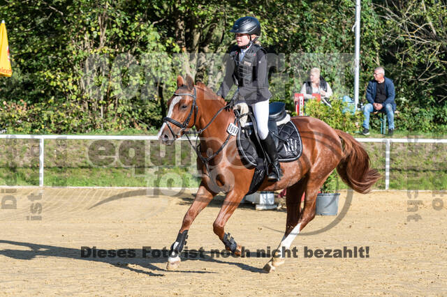 RFV Dinslaken-Hiesfeld (Herbstturnier)