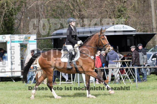Frühjahrsvielseitigkeit RV Seydlitz Kamp
