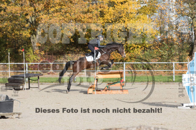 IGV Lehrgang der Sieger der Cups mit Frank Ostholt