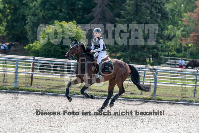 Late-Entry-Vielseitigkeit Langenfeld (11.+13./14.06.2020)