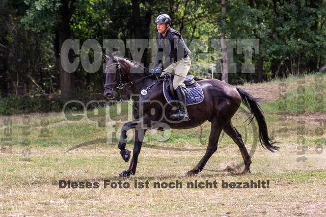 Late-Entry Vielseitigkeit Hamminkeln/Wesel (01.+02.08.2020)