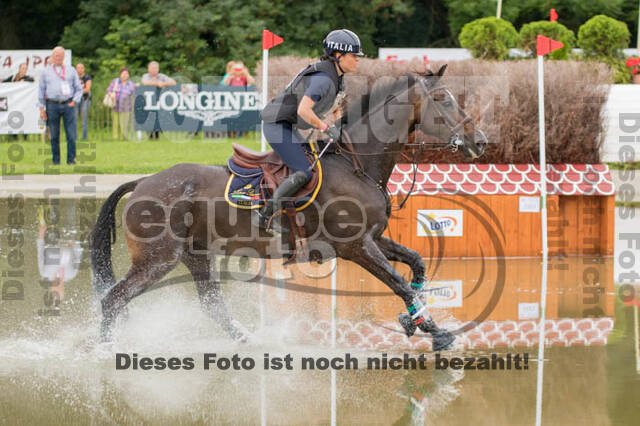 FEI European Championship