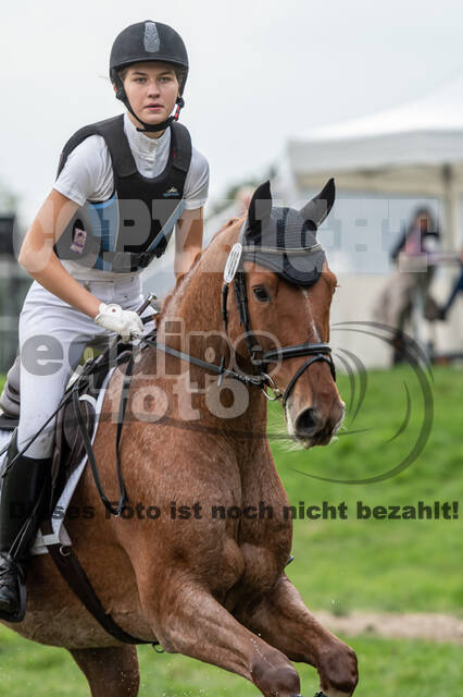 Goldene Schärpe 2020 - Pferde