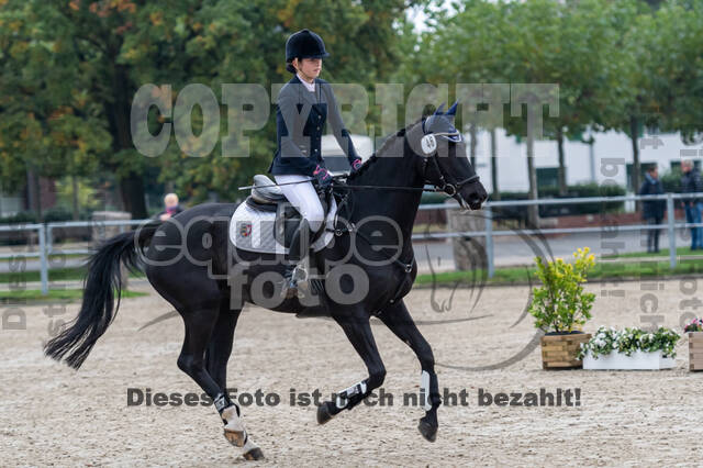 Reiter Schleswig-Holstein