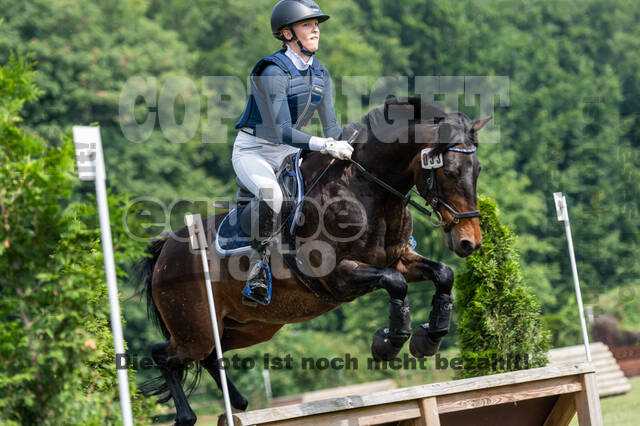 Goldene Schärpe 2021 - Ponys