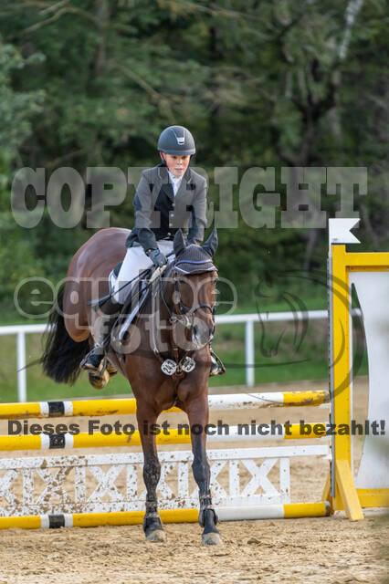 RFV Dinslaken-Hiesfeld (Herbstturnier)