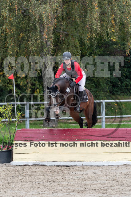 Goldene Schärpe 2020 - Pferde