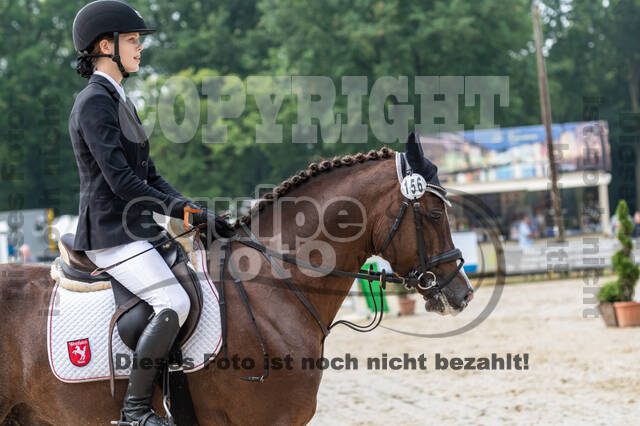 Goldene Schärpe 2021 - Ponys